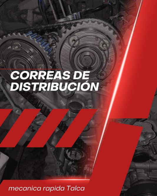 CAMBIO CORREA DISTRIBUCIÓN